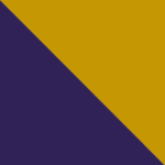 Purple / Gold